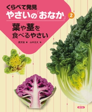 くらべて発見　やさいの「おなか」　葉や茎を食べるやさい