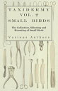 ŷKoboŻҽҥȥ㤨Taxidermy Vol. 2 Small Birds - The Collection, Skinning and Mounting of Small BirdsŻҽҡ[ Various ]פβǤʤ748ߤˤʤޤ