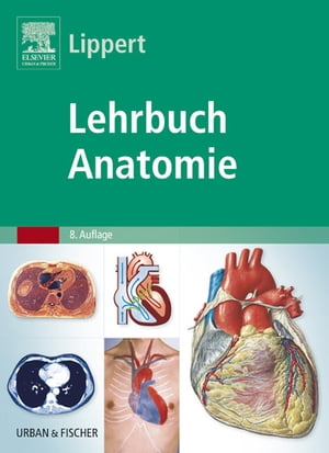 Lehrbuch Anatomie