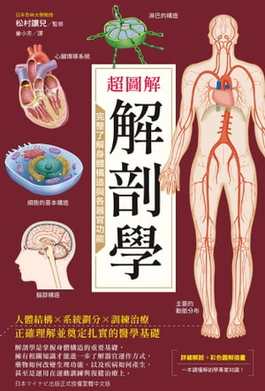 超圖解解剖學：完整了解身體構造與各器官功能