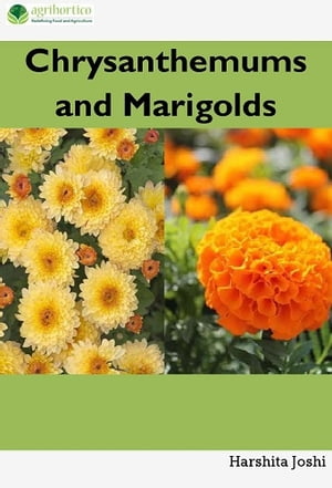 Chrysanthemum and Marigold