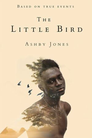 Little Bird A NovelŻҽҡ[ Ashby Jones ]