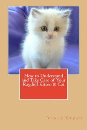 How to Understand and Take Care of Your Ragdoll Kitten &CatŻҽҡ[ Vince Stead ]