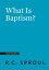 What Is Baptism?