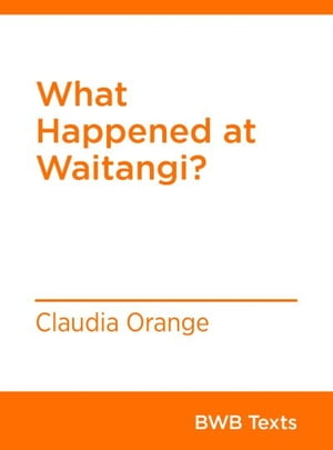 What Happened at Waitangi?