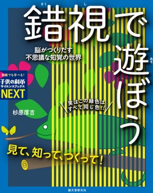 見て、知って、つくって！ 錯視で遊ぼう