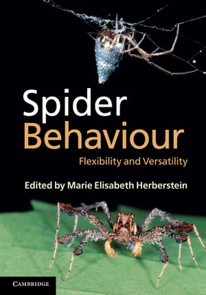 Spider Behaviour