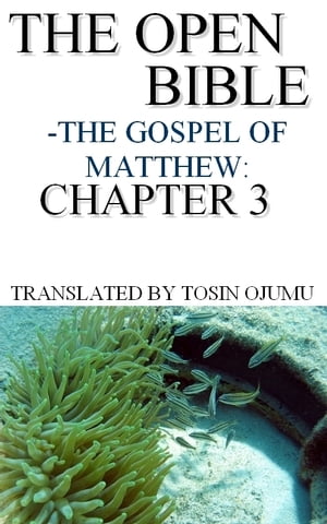 The Open Bible: The Gospel of Matthew: Chapter 3
