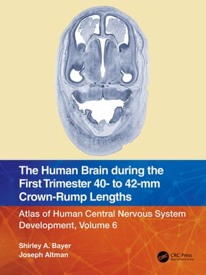 The Human Brain during the First Trimester 40- to 42-mm Crown-Rump Lengths