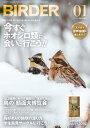 BIRDER2016年1月号【電子書籍】[ BIRDER編集部 ]