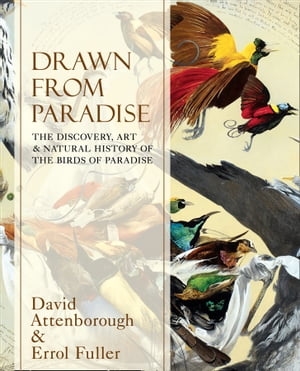 Drawn From Paradise: The Discovery, Art and Natural History of the Birds of Paradise