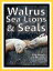 Just Walrus, Seal, and Sea Lion Photos! Big Book of Photographs & Pictures of Walruses, Seals, and Sea Lions, Vol. 1