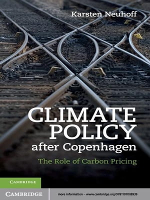 Climate Policy after Copenhagen