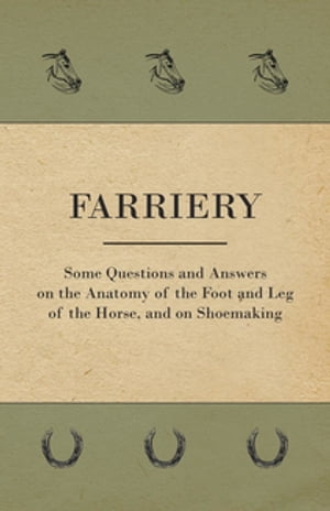 Farriery - Some Questions and Answers on the Anatomy of the Foot and Leg of the Horse, and on Shoemaking