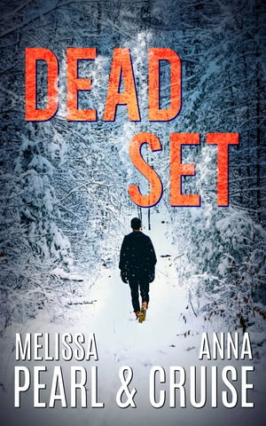 Dead Set (An Aspen Falls Novel)
