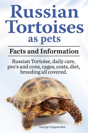 Russian Tortoises as pets. Facts and information. Russian Tortoise daily care, pro’s and cons, cages, costs, diet, breeding all covered.