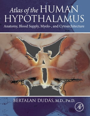 Atlas of the Human Hypothalamus