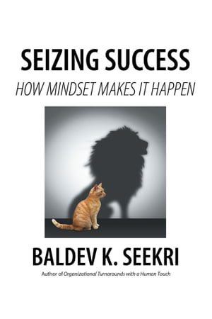 Seizing Success How Mindset Makes It Happen