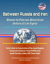 Between Russia and Iran: Room to Pursue American Interests in Syria - Putin 039 s Role in Preservation of the Assad Regime, Trump and American Troop Withdrawal, Israeli Security Lobby, ISIS Terror Fight【電子書籍】 Progressive Management