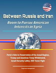 Between Russia and Iran: Room to Pursue American Interests in Syria - Putin's Role in Preservation of the Assad Regime, Trump and American Troop Withdrawal, Israeli Security Lobby, ISIS Terror Fight【電子書籍】[ Progressive Management ]