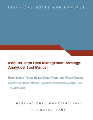 Medium-Term Debt Management Strategy