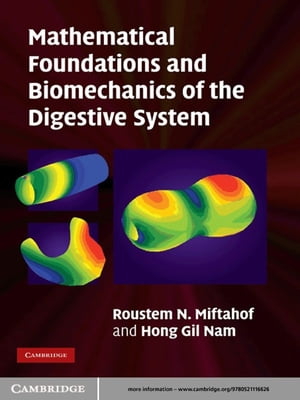 Mathematical Foundations and Biomechanics of the Digestive System