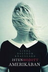 Isten hozott Amerik?ban【電子書籍】[ Linda Bostr?m-Knausgard ]