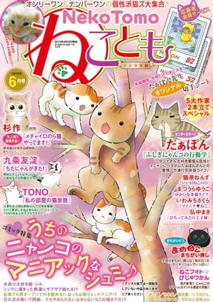 ねこともvol.37