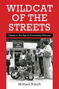 Wildcat of the Streets Detroit in the Age of Community Policing【電子書籍】[ Michael S...
