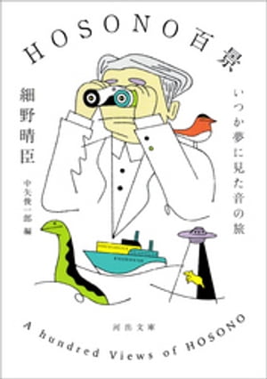 HOSONO百景 いつか夢に見た音の旅