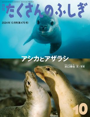 アシカとアザラシ（たくさんのふしぎ2024年10月号）【電子書籍】[ 水口博也 ]のサムネイル
