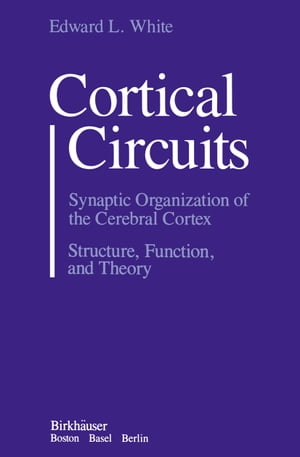 Cortical Circuits Synaptic Organization of the C