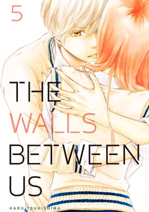 The Walls Between Us 5