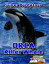 Orca Killer Whale Age 6 and aboveŻҽҡ[ TJ Rob ]