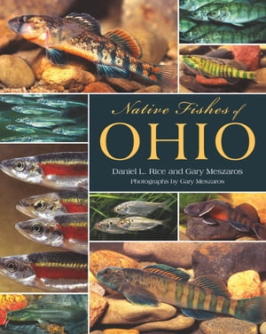 Native Fishes of Ohio【電子書籍】[ Daniel L. Rice ]