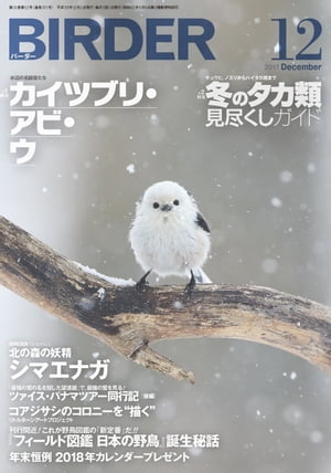 BIRDER2017年12月号