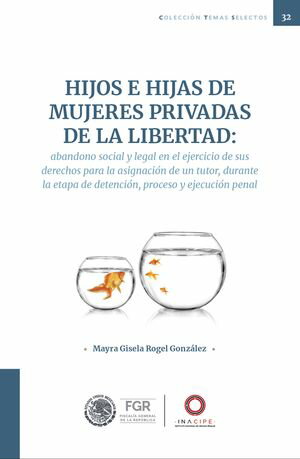 Hijos e hijas de mujeres privadas de la libertad: abandono social y legal en el ejercicio de sus derechos para la asignación de un tutor, durante la etapa de detención, proceso y ejecución penal.