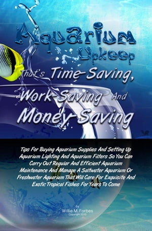 Aquarium Upkeep That’s Time-Saving, Work-Saving And Money-Saving