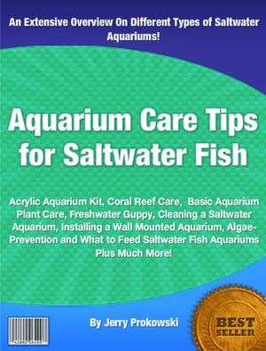 Aquarium Care Tips for Saltwater Fish