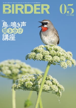 BIRDER2023年5月号【電子書籍】 BIRDER編集部