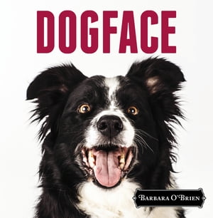 DogFace