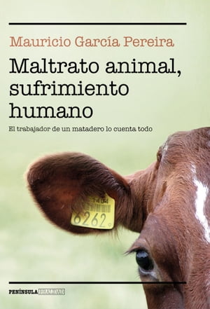 Maltrato animal, sufrimiento humano El trabajador de un matadero lo cuenta todo