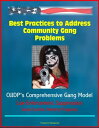 Best Practices to Address Community Gang Problem