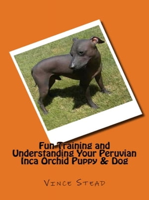 Fun Training and Understanding Your Peruvian Inca Orchid Puppy & Dog