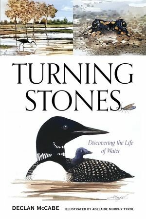 Turning Stones Discovering the Life of Water【電子書籍】 Declan McCabe