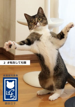 保護猫写真集 ねこっぱち! (2) #転生しても猫【電子書籍】[ 額田立子 ]