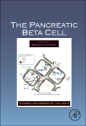 The Pancreatic Beta Cell