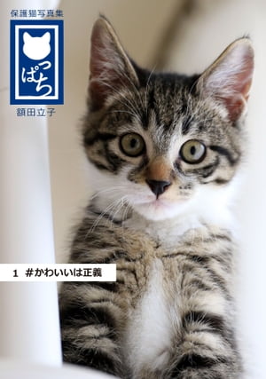 保護猫写真集 ねこっぱち! (1) #かわいいは正義