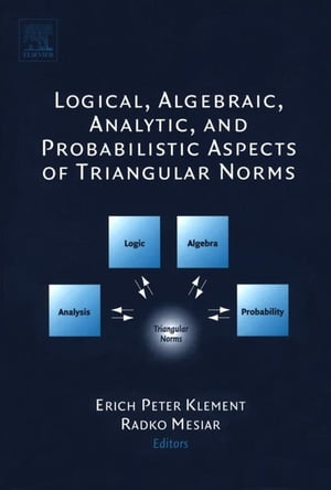 Logical, Algebraic, Analytic and Probabilistic Aspects of Triangular Norms