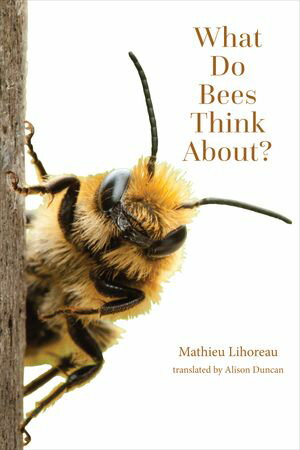 What Do Bees Think About?